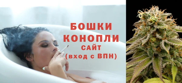 ГАЛЛЮЦИНОГЕННЫЕ ГРИБЫ Арсеньев