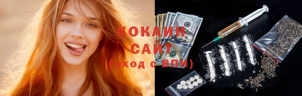 ГАЛЛЮЦИНОГЕННЫЕ ГРИБЫ Арсеньев