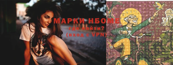 прущие грибы Алзамай