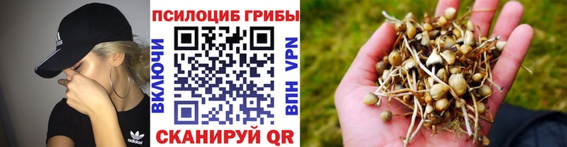 Галлюциногенные грибы ЛСД Купить где Новосибирск